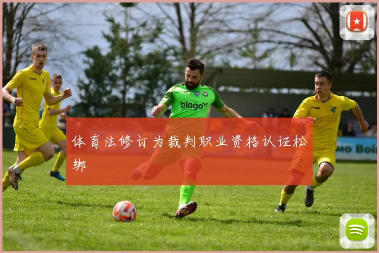 体育法修订为裁判职业资格认证松绑