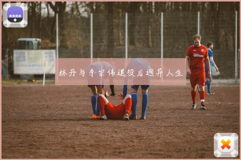 林丹与李宗伟退役后迥异人生