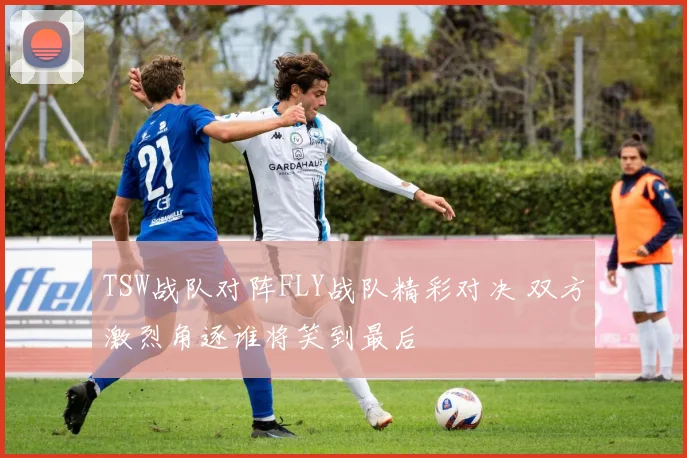 TSW战队对阵FLY战队精彩对决 双方激烈角逐谁将笑到最后