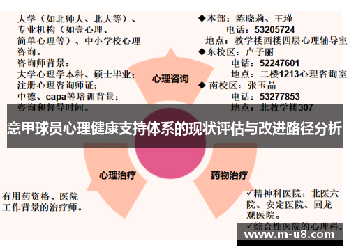 意甲球员心理健康支持体系的现状评估与改进路径分析