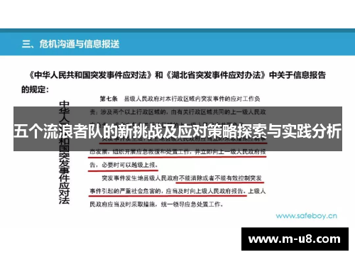 五个流浪者队的新挑战及应对策略探索与实践分析