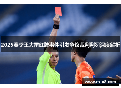 2025赛季王大雷红牌事件引发争议裁判判罚深度解析
