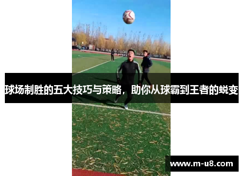 球场制胜的五大技巧与策略，助你从球霸到王者的蜕变