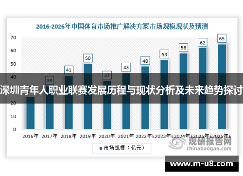 深圳青年人职业联赛发展历程与现状分析及未来趋势探讨