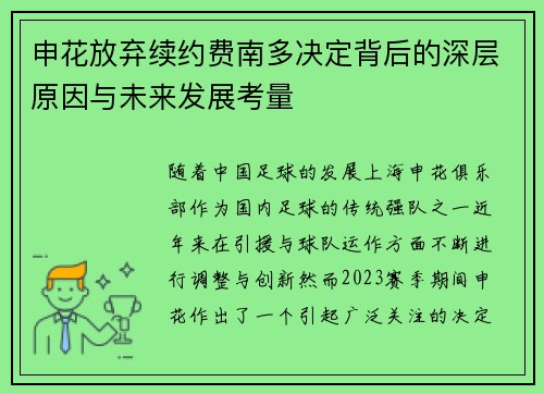 申花放弃续约费南多决定背后的深层原因与未来发展考量