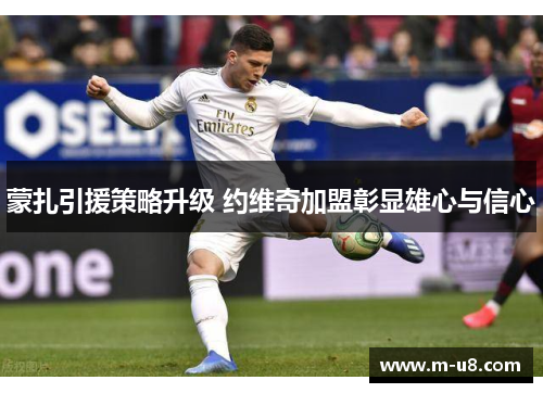 蒙扎引援策略升级 约维奇加盟彰显雄心与信心
