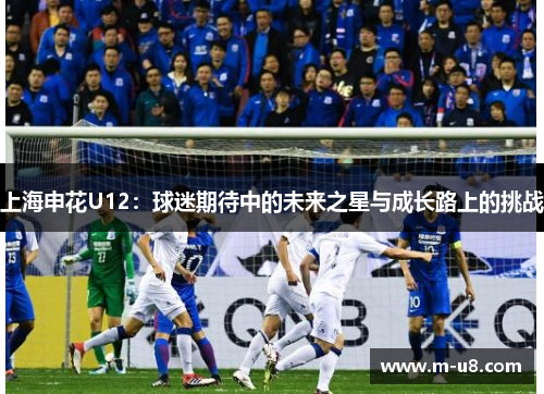 上海申花U12：球迷期待中的未来之星与成长路上的挑战