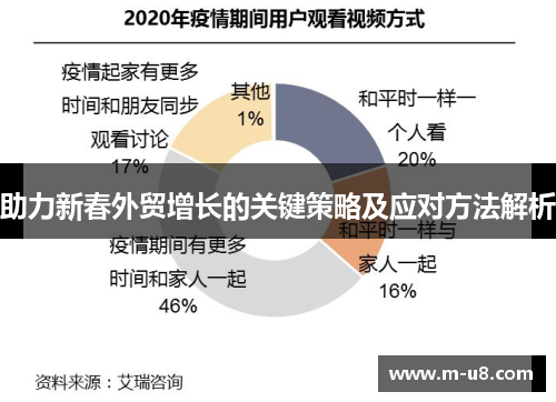 助力新春外贸增长的关键策略及应对方法解析