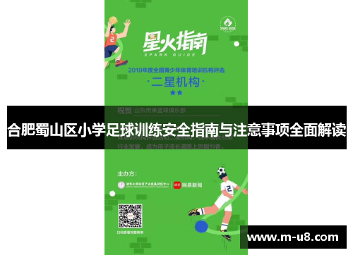 合肥蜀山区小学足球训练安全指南与注意事项全面解读