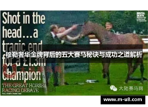穆勒奢华金牌背后的五大赛马秘诀与成功之道解析