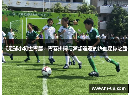 《足球小将世青篇：青春拼搏与梦想追逐的热血足球之路》