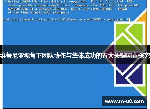 维蒂尼亚视角下团队协作与集体成功的五大关键因素探究
